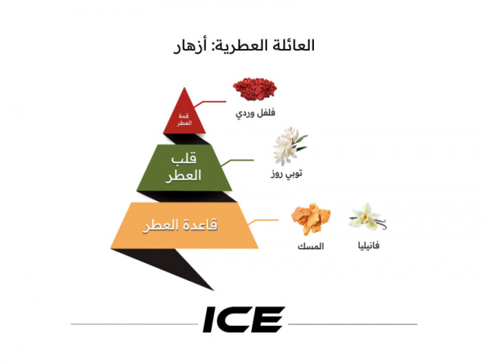 ICE