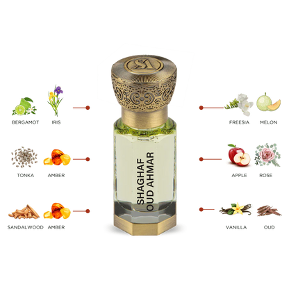 SHAGHAF OUD AHMAR